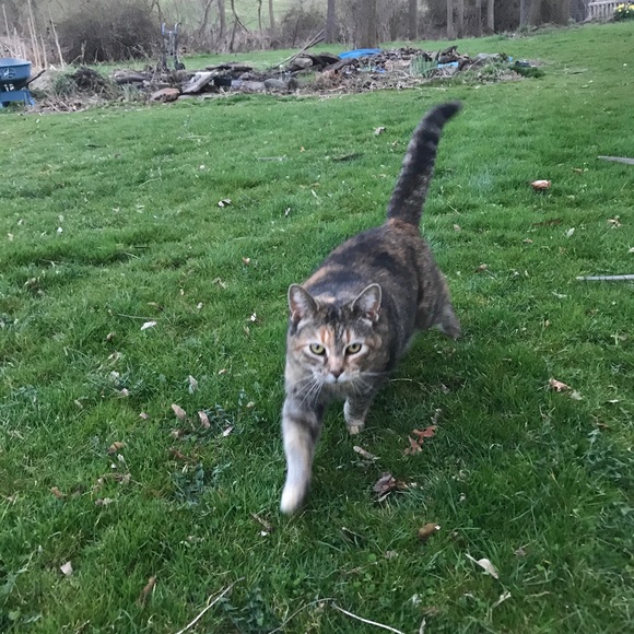 Meet your Posher, Kim - Picture 2 of 8